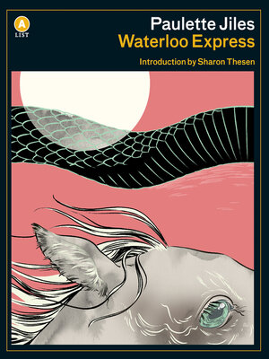 Waterloo Express - ebook
